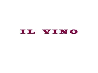 i l v i n o