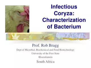 Infectious Coryza: Characterization of Bacterium