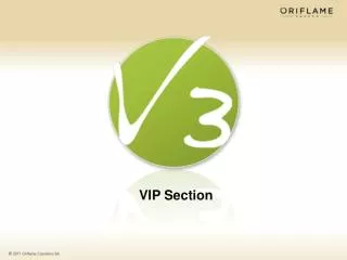 VIP Section