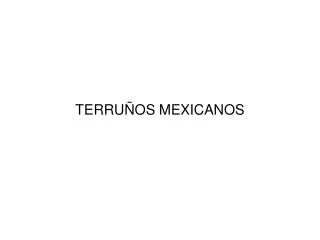 terru os mexicanos