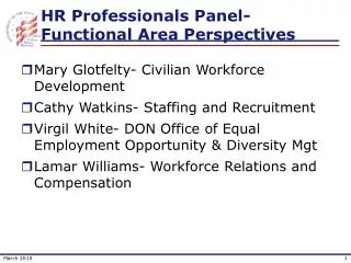 HR Professionals Panel-Functional Area Perspectives