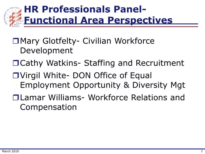 hr professionals panel functional area perspectives