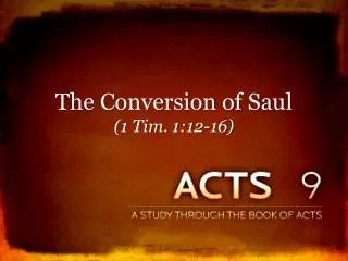 The Conversion of Saul (1 Tim. 1:12-16)