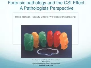 Forensic pathology and the CSI Effect: A Pathologists Perspective