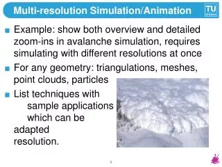 Multi-resolution Simulation/Animation