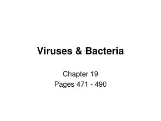 Viruses &amp; Bacteria