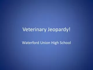 Veterinary Jeopardy !