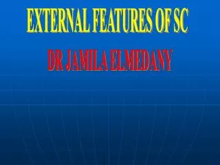 EXTERNAL FEATURES OF SC