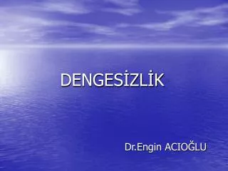 denges zl k