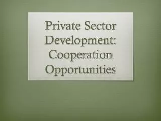 Private Sector Development: Cooperation Opportunities