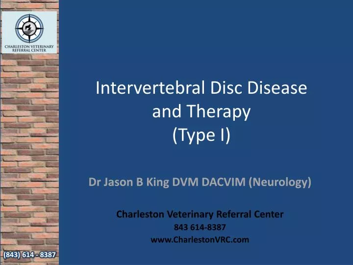 intervertebral disc disease and therapy type i