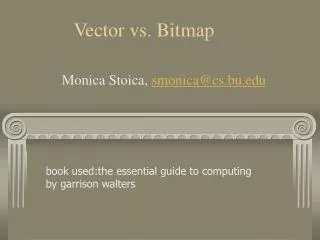 Vector vs. Bitmap