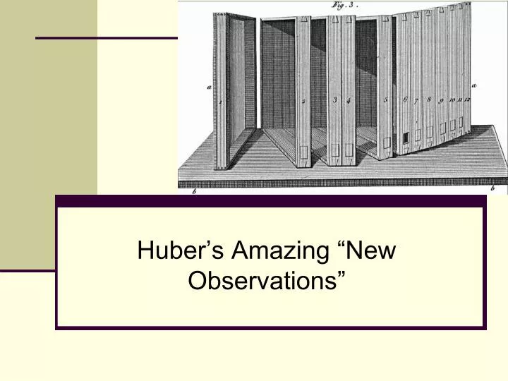 huber s amazing new observations