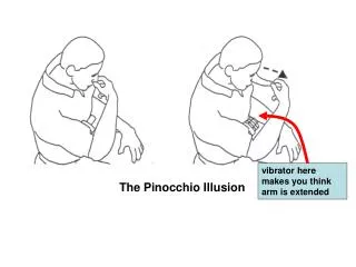 The Pinocchio Illusion