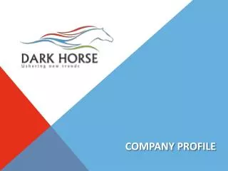 company profile