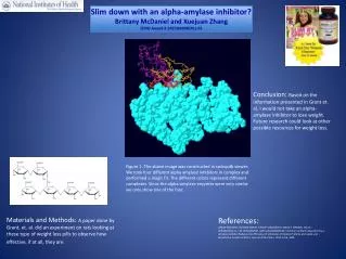 Slim down with an alpha-amylase inhibitor? Brittany McDaniel and Xuejuan Zhang