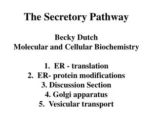 The Secretory Pathway Becky Dutch Molecular and Cellular Biochemistry 1. ER - translation
