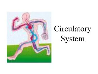 Circulatory System