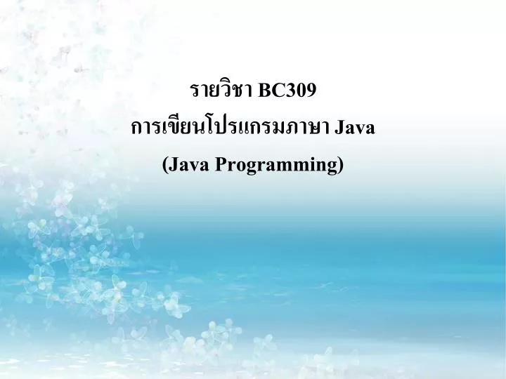 bc309 java java programming