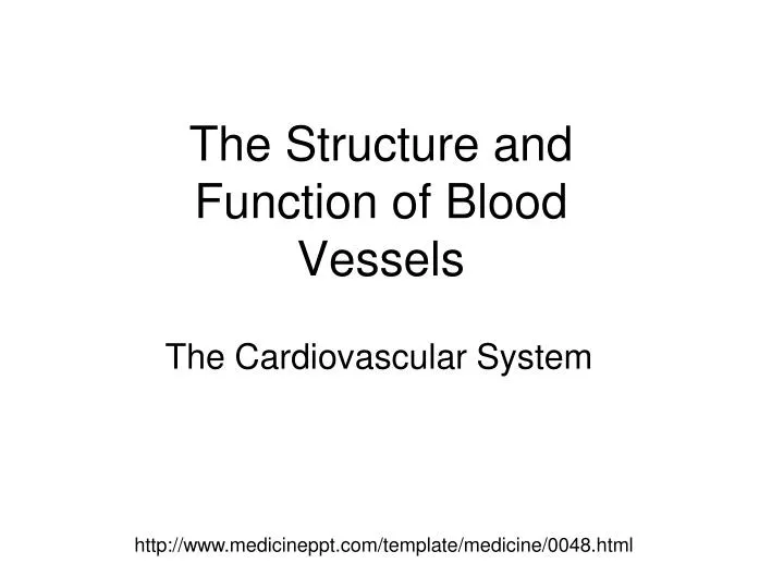 the structure and function of blood vessels