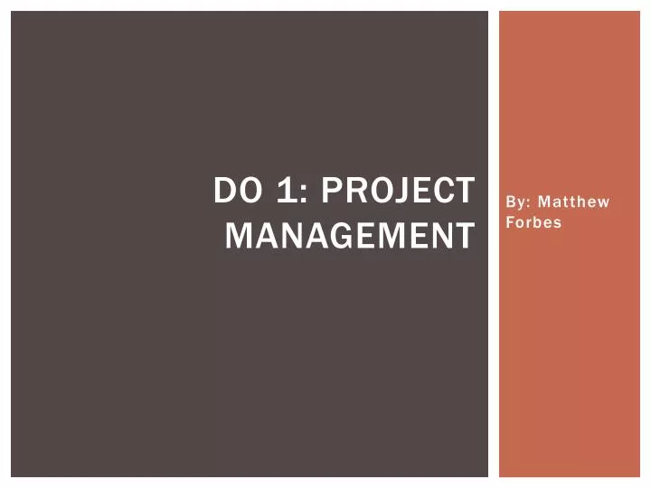 do 1 project management