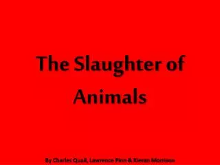 The Slaughter of Animals