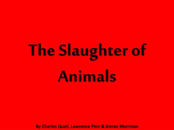 the slaughter of animals