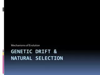 Genetic drift &amp; Natural Selection