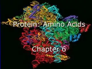 Protein: Amino Acids Chapter 6