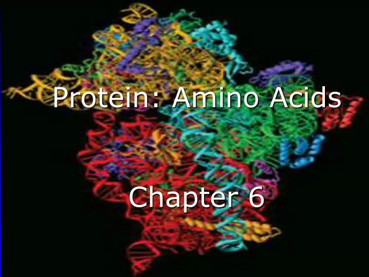 protein amino acids chapter 6