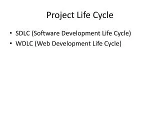 Project Life Cycle