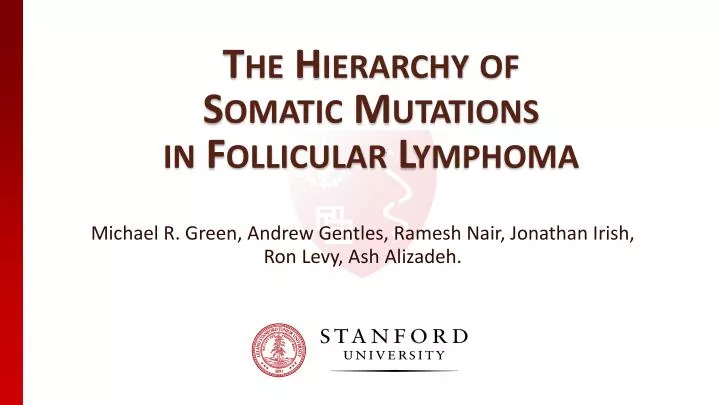 the hierarchy of somatic mutations in follicular lymphoma