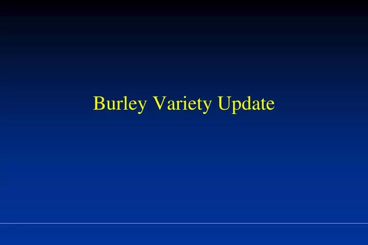 burley variety update