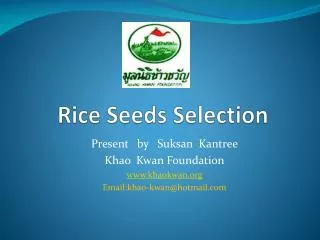 Rice Seeds Selection