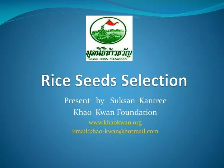 rice seeds selection