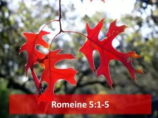 romeine 5 1 5