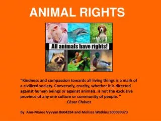 ANIMAL RIGHTS