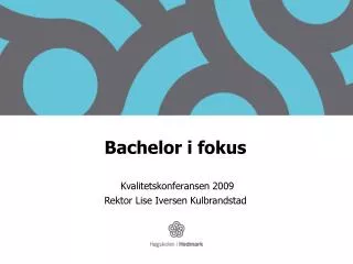 bachelor i fokus