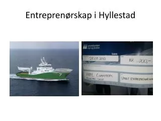 entrepren rskap i hyllestad