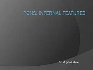 PONS: INTERNAL FEATURES