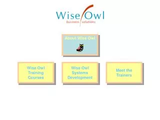 About Wise Owl