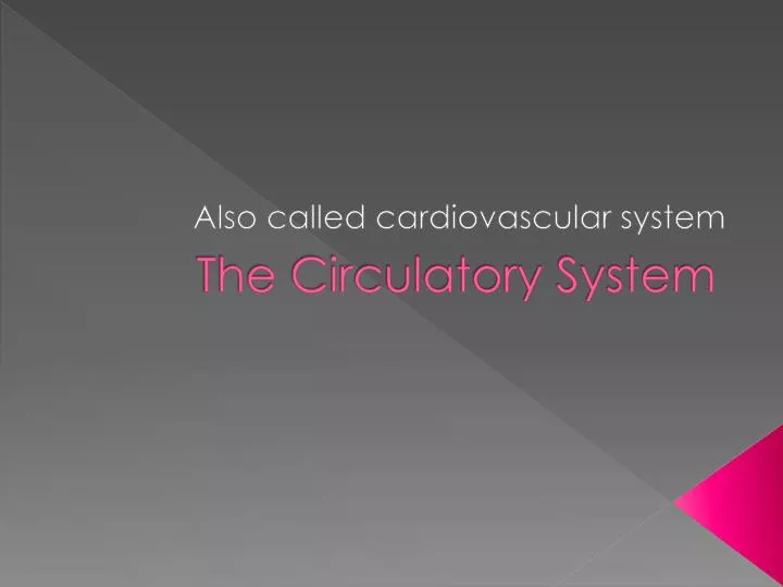 the circulatory system