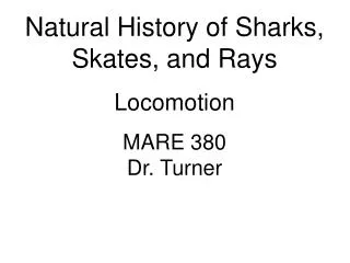 Natural History of Sharks, Skates, and Rays Locomotion MARE 380 Dr. Turner