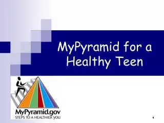MyPyramid for a Healthy Teen