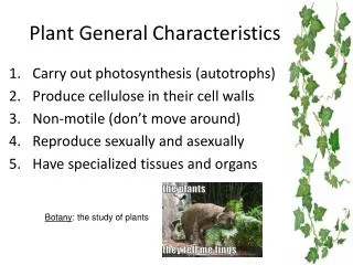 Plant General Characteristics