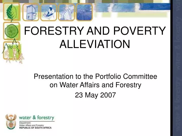 forestry and poverty alleviation