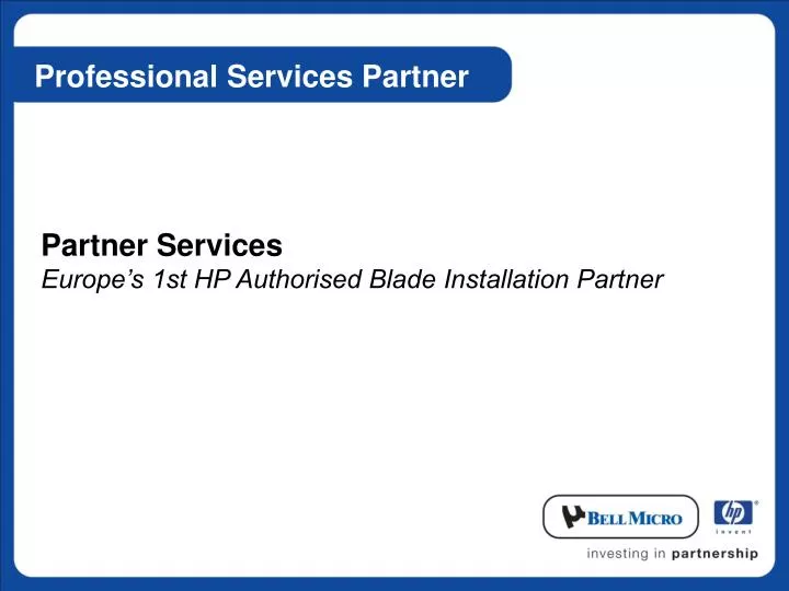 professional services partner