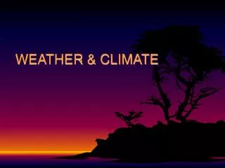 WEATHER &amp; CLIMATE