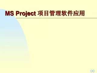 ms project