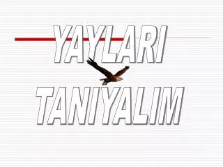 YAYLARI TANIYALIM